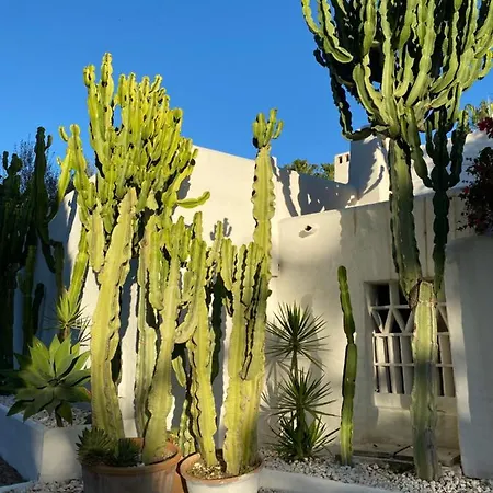Spectacular And Charismatic In Marbella. Pure Life Villa Marbella